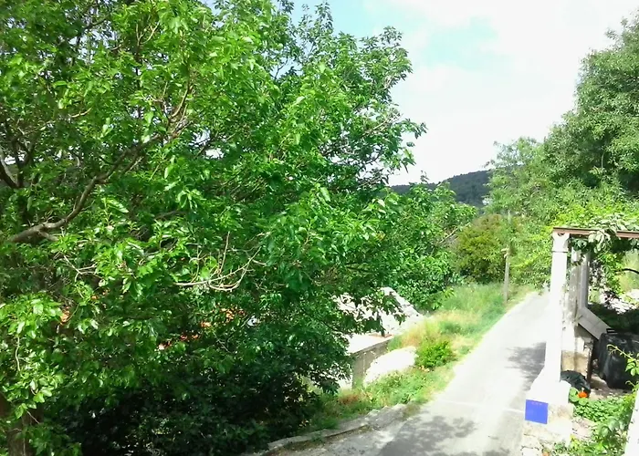 Feliks-studio With Balcony *